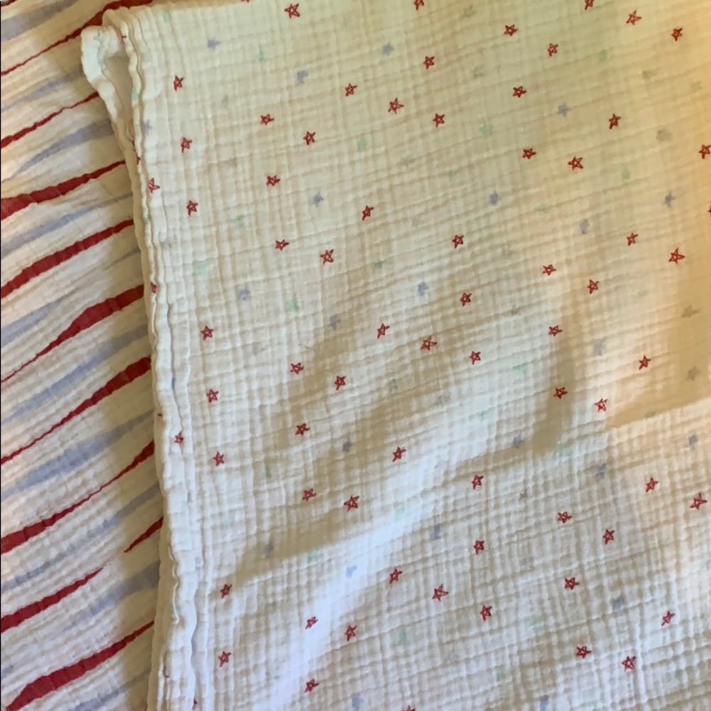 Two Aden and Anais swaddle blankets